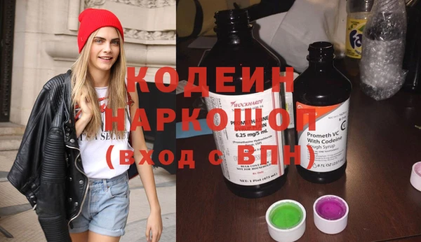 стафф Коряжма